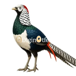 تخم نطفه دار قرقاول لیدی